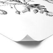 Peanut Vintag Illustration Poster (Ecke)