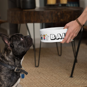 Peanuts Gang Group Lineup Napf