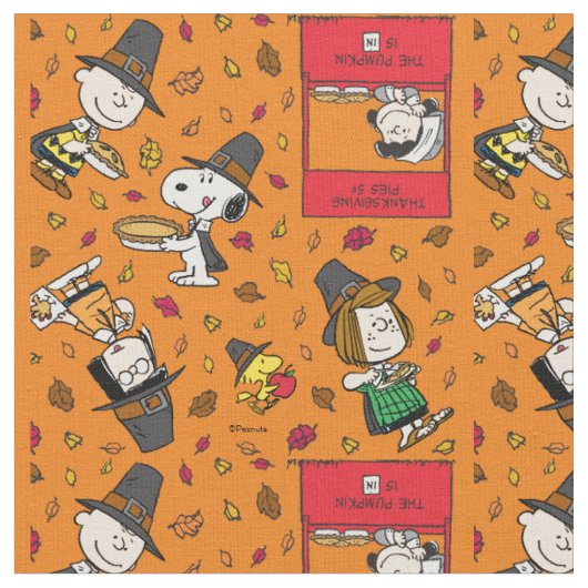 Peanuts-Gang-Pilger-Dankfest Stoff (Nahaufnahme)