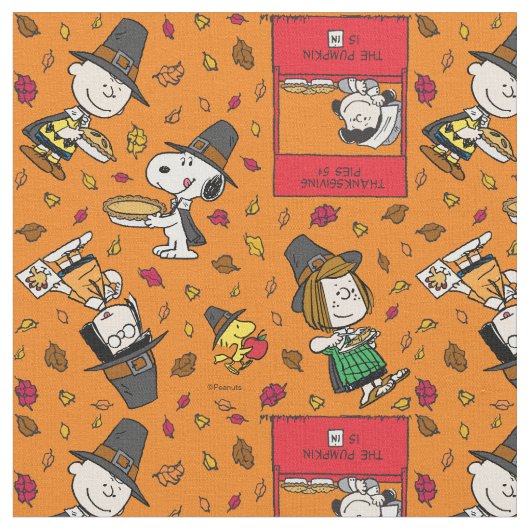 Peanuts Gang Pilgrim Thanksgiving Stoff (Nahaufnahme)