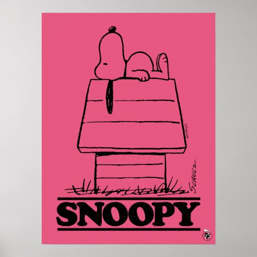 Peanuts | Snoopy Das Geheimnis des Lebens Poster (Vorne)