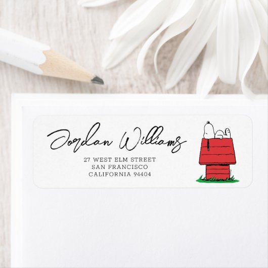 Peanuts Snoopy Dog House | Babydusche (Insitu)