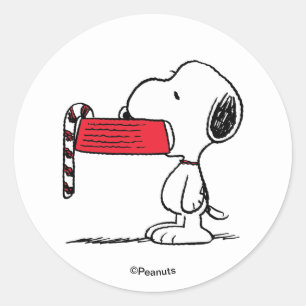 Peanuts   Snoopy-Zuckerstange-Schale Runder Aufkleber