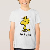 Peanuts | Snoopy's Friend Woodstock Tri-Blend Shirt (Vorderseite)