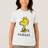 Peanuts | Snoopy's Friend Woodstock Tri-Blend Shirt (Vorderseite)