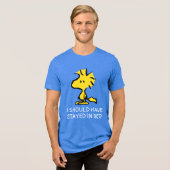 Peanuts | Snoopy's Friend Woodstock Tri-Blend Shirt (Vorderseite voll)
