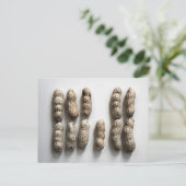 Peanuts Still Life Fine Art Fotograf Postkarte (Stehend Vorderseite)