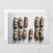 Peanuts Still Life Fine Art Fotograf Postkarte (Vorne/Hinten)