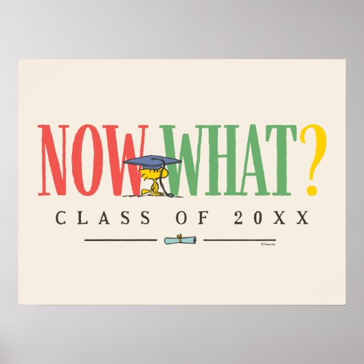 Peanuts Woodstock Now What Graduation Funny Quote Poster (Vorne)