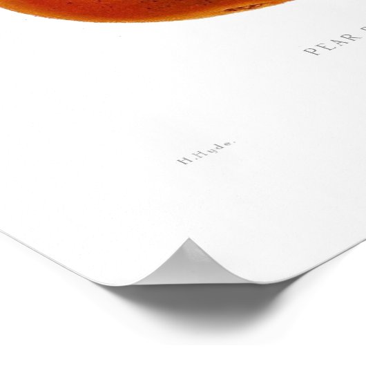 Pear Beurre Durondeau Poster (Ecke)