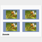 Pear Blooms Rechteckiger Aufkleber (Blatt)