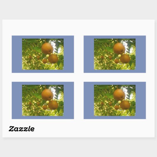 Pear Blooms Rechteckiger Aufkleber (Blatt)