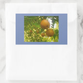 Pear Blooms Rechteckiger Aufkleber (Tasche)