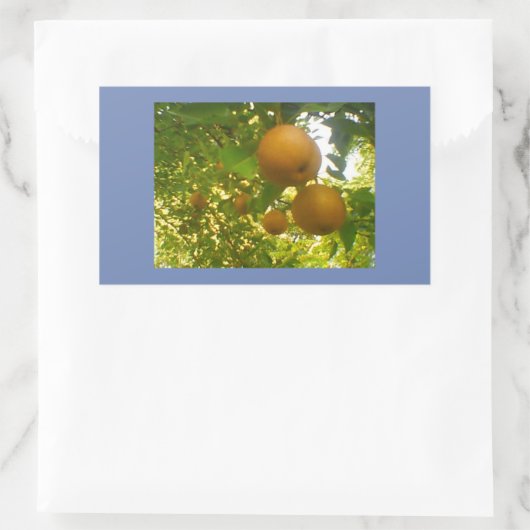 Pear Blooms Rechteckiger Aufkleber (Tasche)