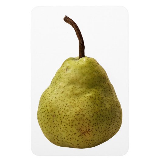 Pear Fruit Foto Magnet (Vertikal)