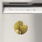 Pear Fruit Magnet (In Situ (Geschirrspüler))