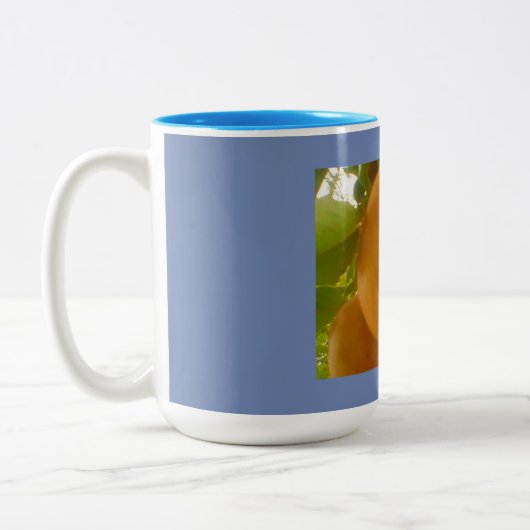 Pear Harvest Zweifarbige Tasse (Links)