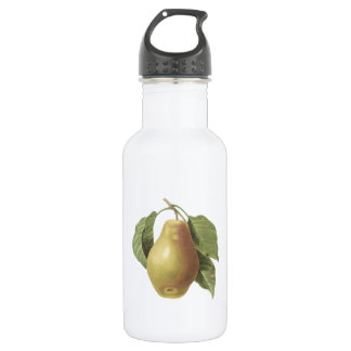 pear(Pyrus sp.) von Redouté Trinkflasche
