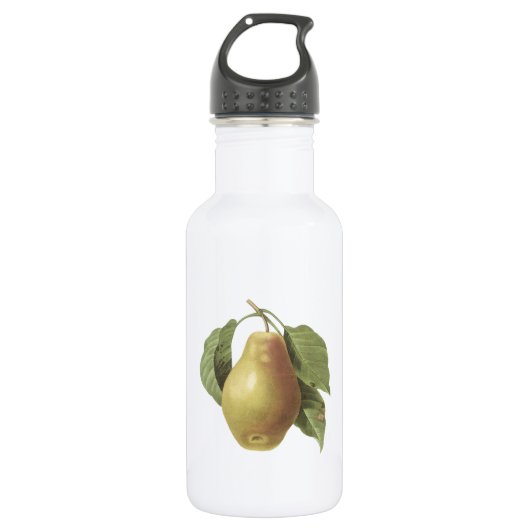pear(Pyrus sp.) von Redouté Trinkflasche (Vorderseite)