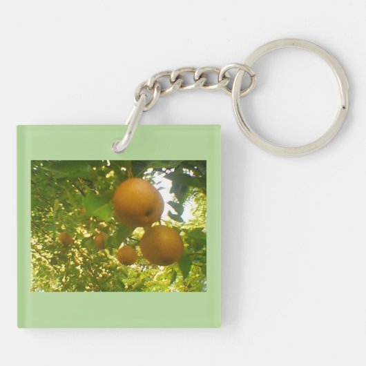 Pear Tree Design Schlüsselanhänger (Rückseite)
