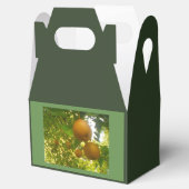 Pear Tree Harvest Geschenkschachtel (Geöffnet)