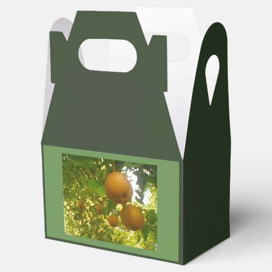 Pear Tree Harvest Geschenkschachtel (Geöffnet)