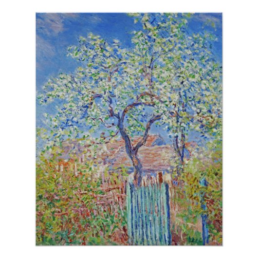Pear Tree in Blume - Claude Monet Poster (Vorderseite)