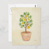 Pear Tree Postcard Postkarte (Vorne/Hinten)