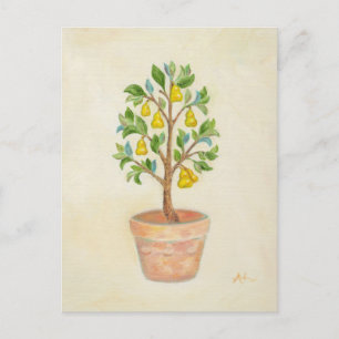 Pear Tree Postcard Postkarte
