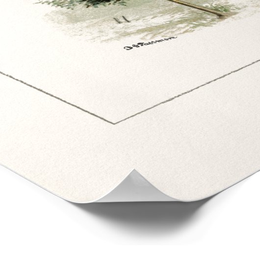 Pear Tree (Pyrus communis) Aquarellmalerei Poster (Ecke)