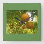 Pear Tree Quadratische Wanduhr (Vorderseite)