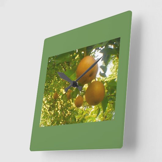 Pear Tree Quadratische Wanduhr (Winkel)