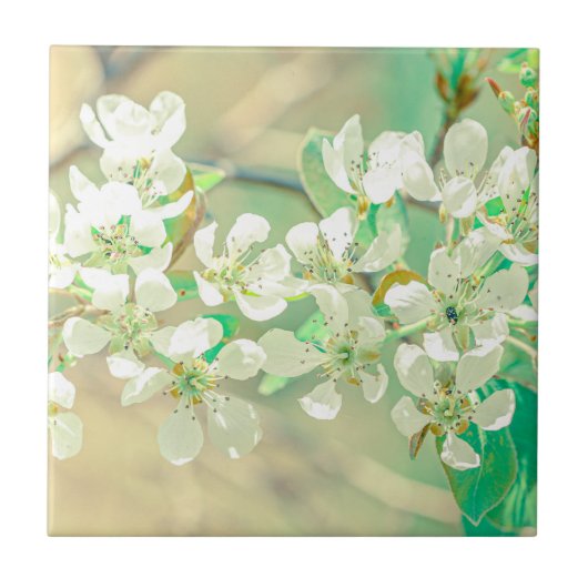 Pear Tree Spring Positive Vibes Blätter Blume Fliese (Vorderseite)