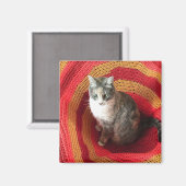 Pearl Cat über Afghanistan Magnet (Vorderseite/Rückseite)