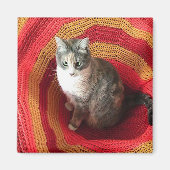 Pearl Cat über Afghanistan Magnet (Vorne)