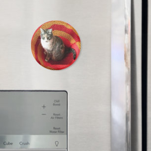 Pearl Cat über Afghanistan Magnet