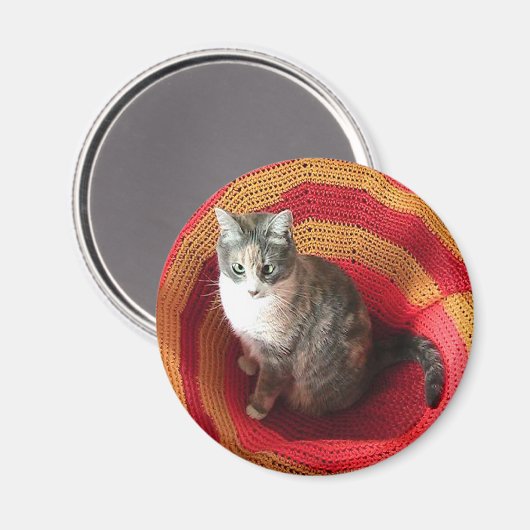 Pearl Cat über Afghanistan Magnet (Vorderseite/Rückseite)