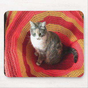 Pearl Cat über Afghanistan Mousepad