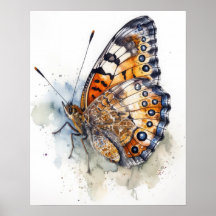 Pearl Crescent Butterfly Art Print Poster
