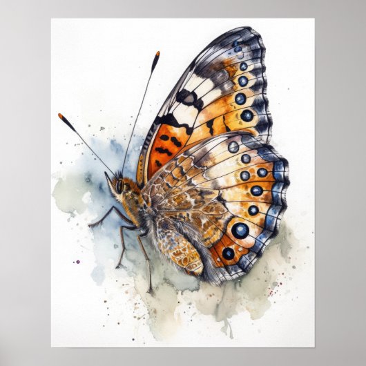 Pearl Crescent Butterfly Art Print Poster (Vorne)
