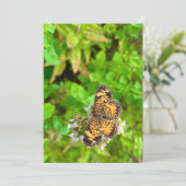Pearl Crescent butterfly birthday card dh26 (Stehend Vorderseite)
