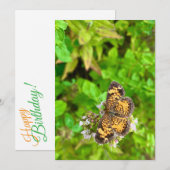 Pearl Crescent butterfly birthday card dh26 (Vorne/Hinten)