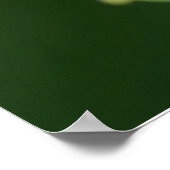 Pearl Crescent Butterfly Poster (Ecke)