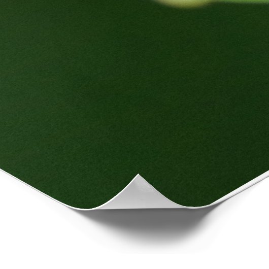 Pearl Crescent Butterfly Poster (Ecke)