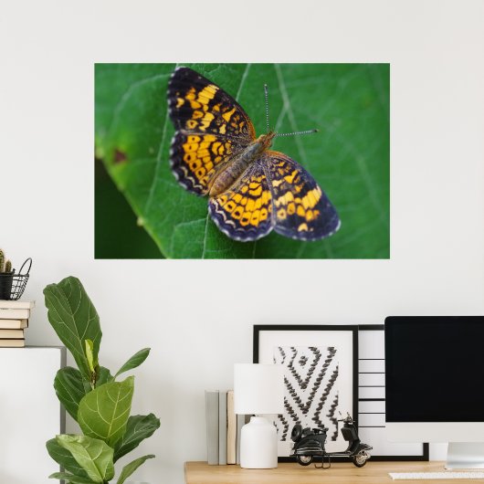 Pearl Crescent Butterfly Poster (Heimbüro)