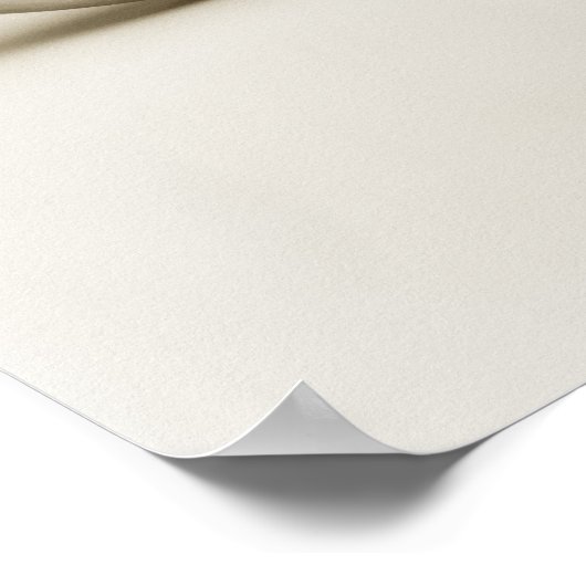 Pearl Nautilus Seashell Poster (Ecke)