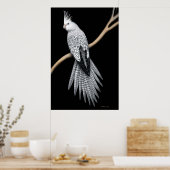 Pearl Pied Cockatiel Poster (Küche)