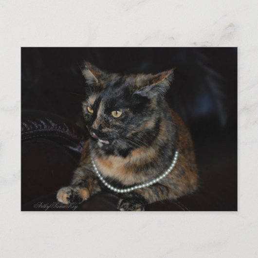 Pearl.Postcard. Postkarte (Vorderseite)