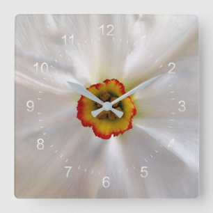 pearl white narcissus quadratische wanduhr