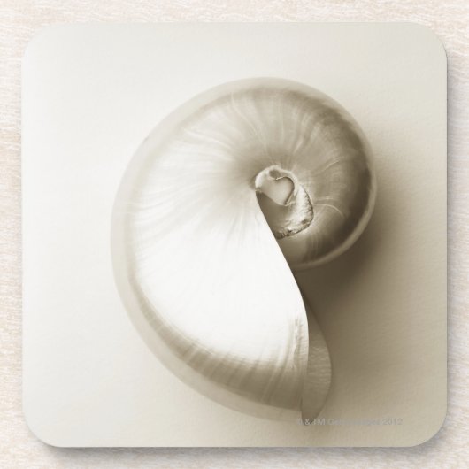 Pearlised NautilusseeMuschel 2 Getränkeuntersetzer (Vorderseite)